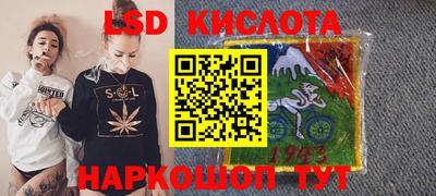 spice Бийск