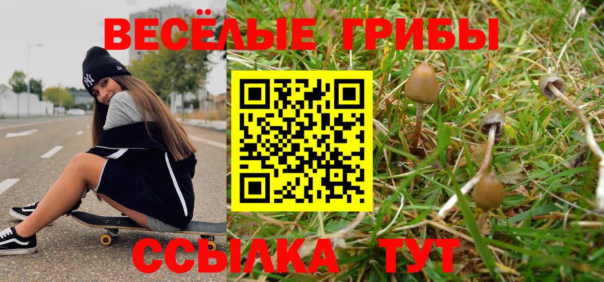 Кашира  Галлюциногенные грибы ЛСД  Вход с VPN 